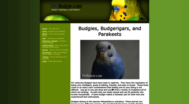 petbudgie.com