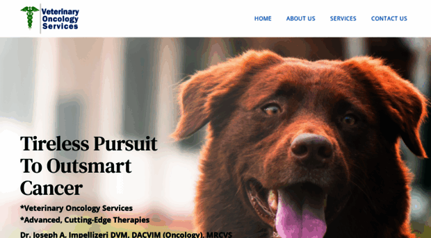 petcancerinformation.com