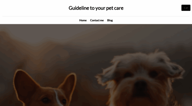 petcarewiz.com