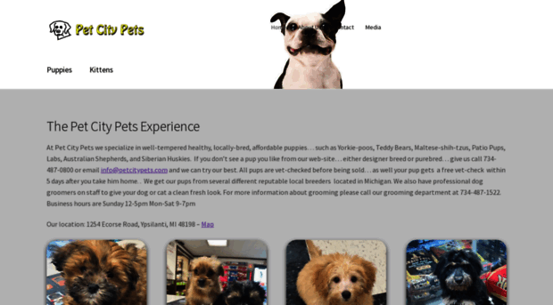 petcitypets.com