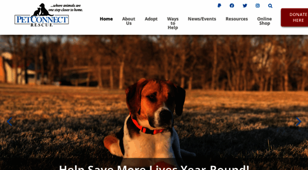 petconnectrescue.org