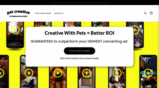 petcreative.co