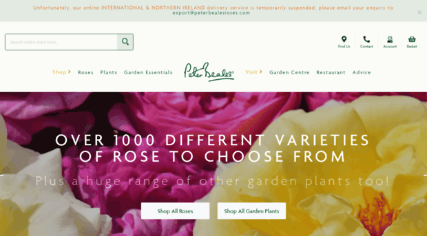 peterbealesroses.com