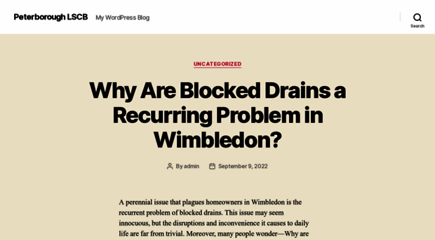 peterboroughlscb.org.uk