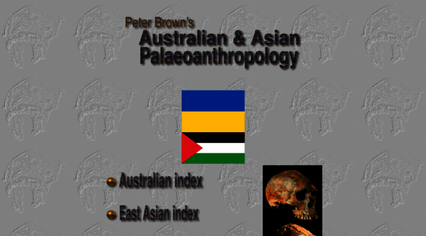 peterbrown-palaeoanthropology.net