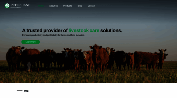 peterhand-ah.com
