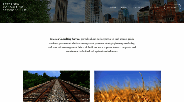 petersenconsultingllc.com