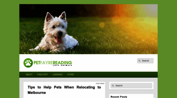 petfayre-reading.co.uk