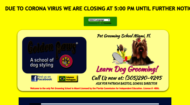 petgroomingschoolmiami.com