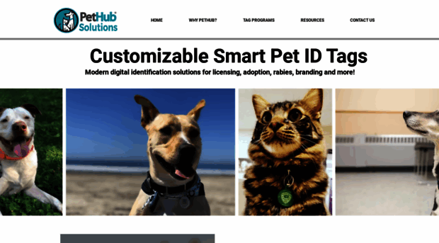 pethub.solutions