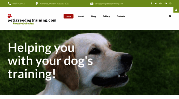 petigreedogtraining.com