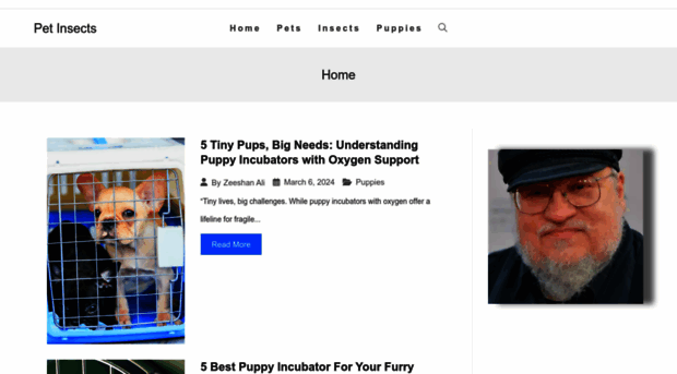 petinsects.online