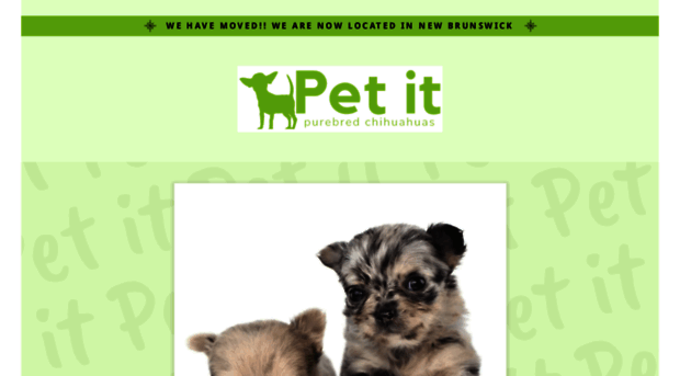 petitchihuahuas.com