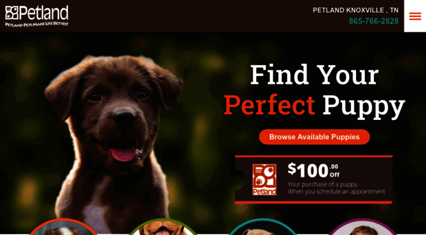 petlandknoxville.com