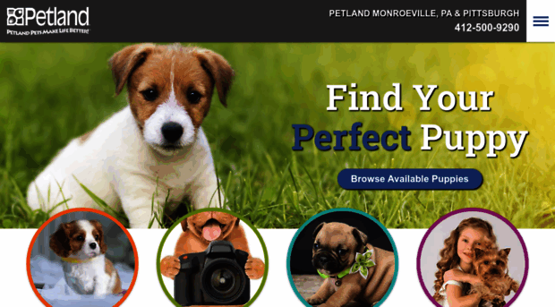 petlandmonroeville.com