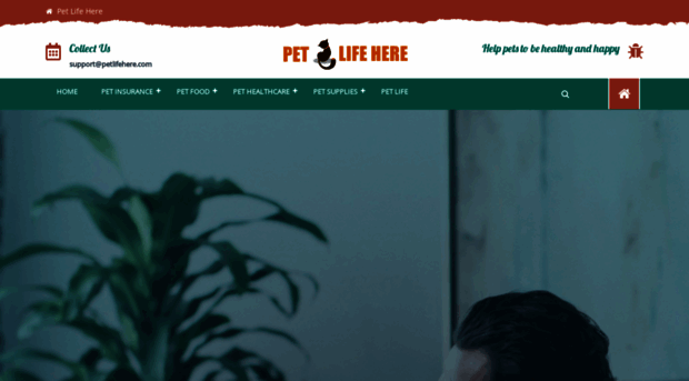 petlifehere.com