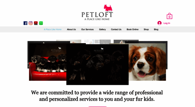 petloft.sg