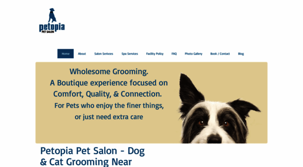 petopiapetsalon.com