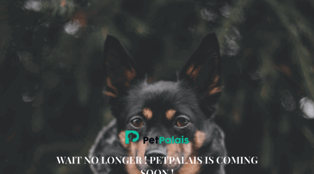 petpalais.com