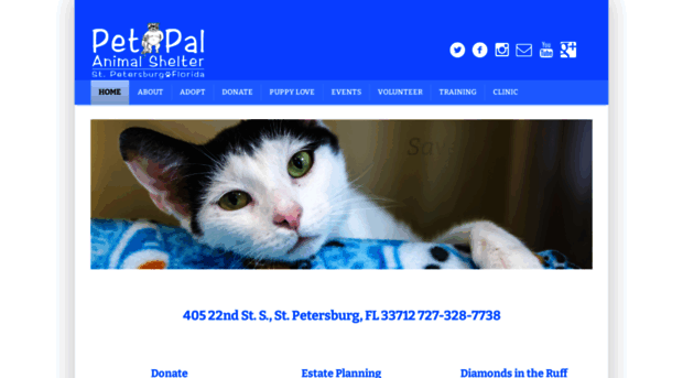 petpalanimalshelter.com