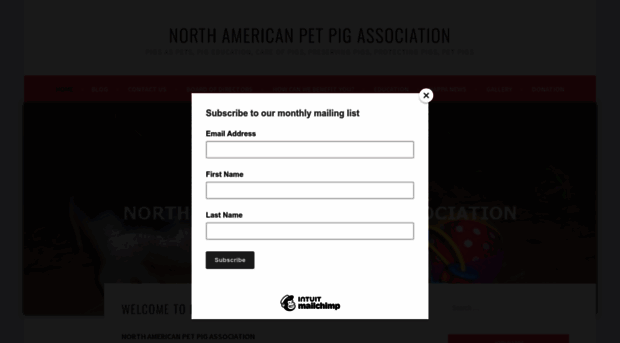 petpigs.com