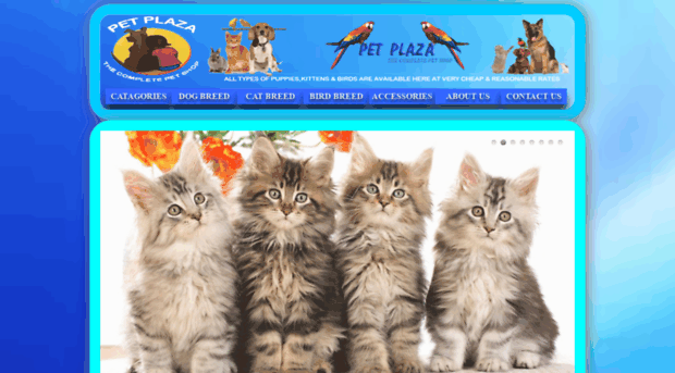 petplaza.co.in