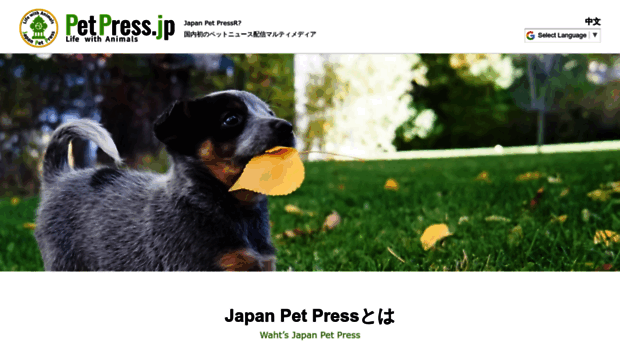 petpress.jp