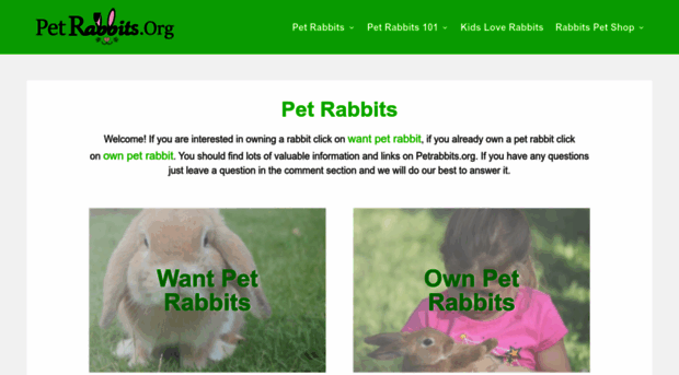 petrabbits.org