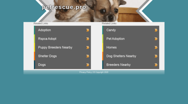 petrescue.pro