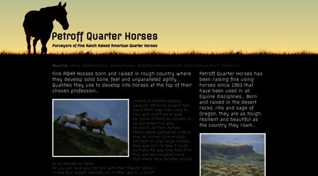 petroffquarterhorses.com