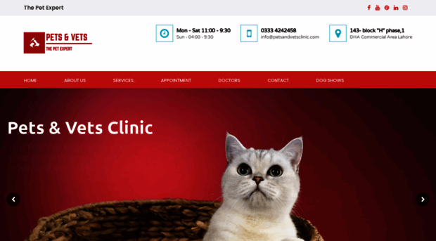 petsandvetsclinic.com