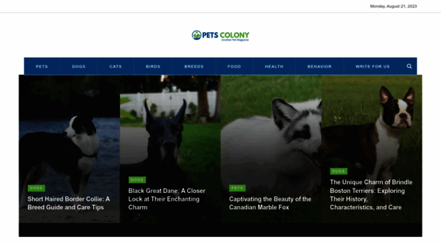 petscolony.com