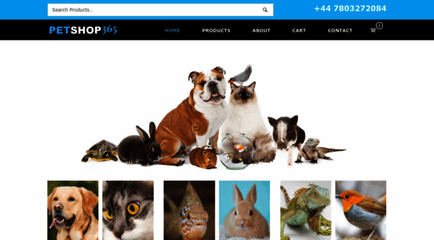 petshop365.co.uk