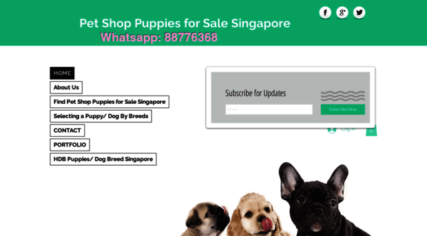 petshoppuppiesforsalesingapore.com