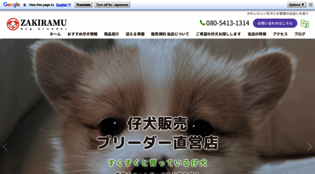 petshopsarara.com