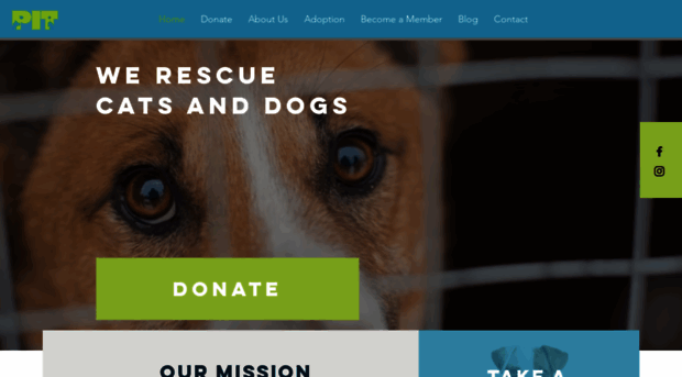 petsinturkey.org