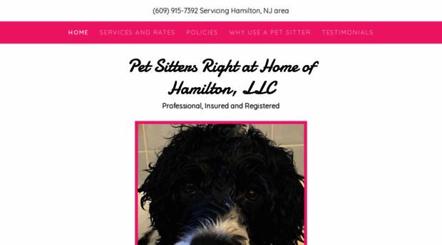 petsittersrightathome.com