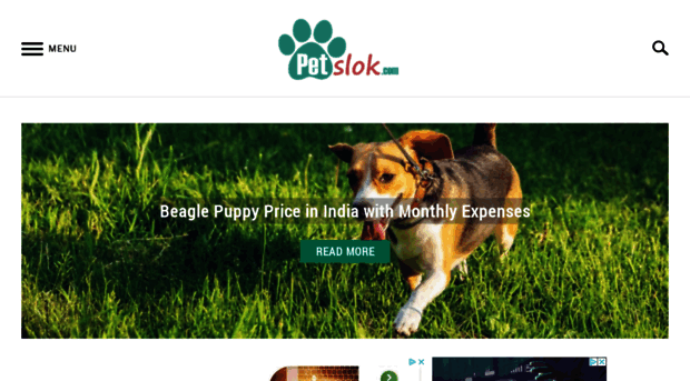 petslok.com