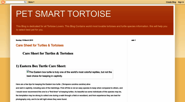 petsmarttortoise.blogspot.com