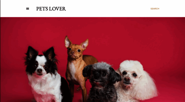petssloverclub.blogspot.com
