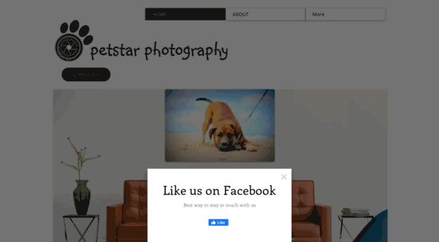 petstarphotography.com.au