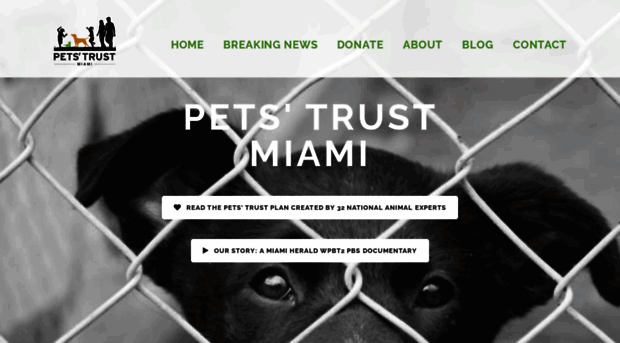 petstrustmiami.com