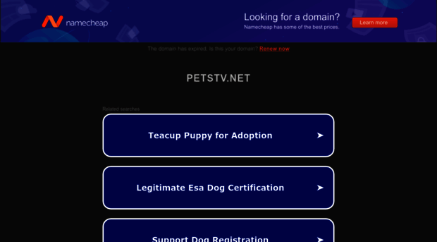 petstv.net