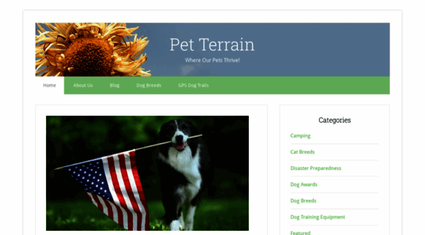 petterrain.com