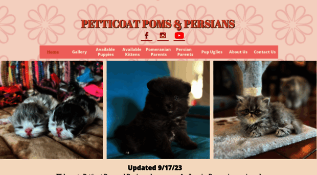 petticoatpoms.com