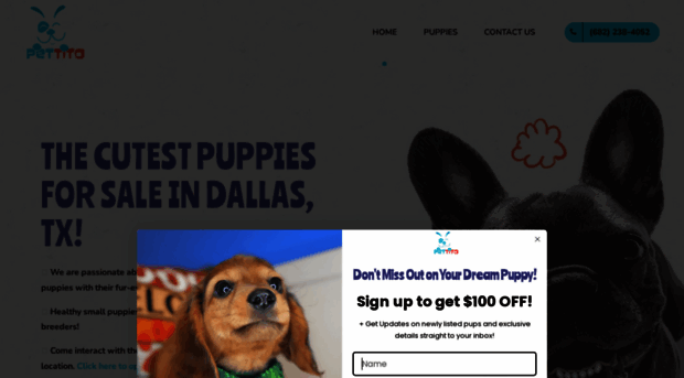 pettitodallas.com