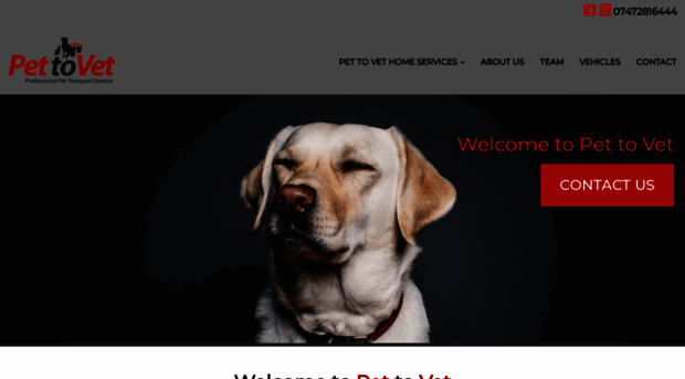 pettovet.co.uk