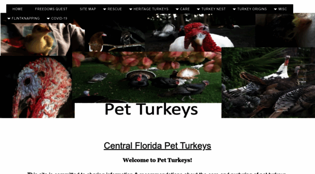 petturkeys.com