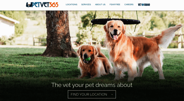 petvet365.com