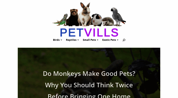 petvills.com